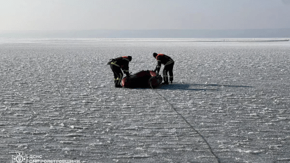 Спасение лебедя
