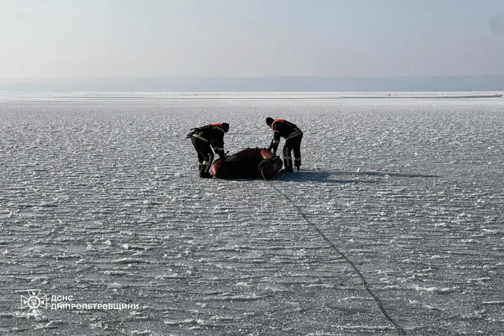 Порятунок лебедя