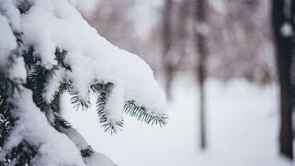 Погода в Дніпрі січень