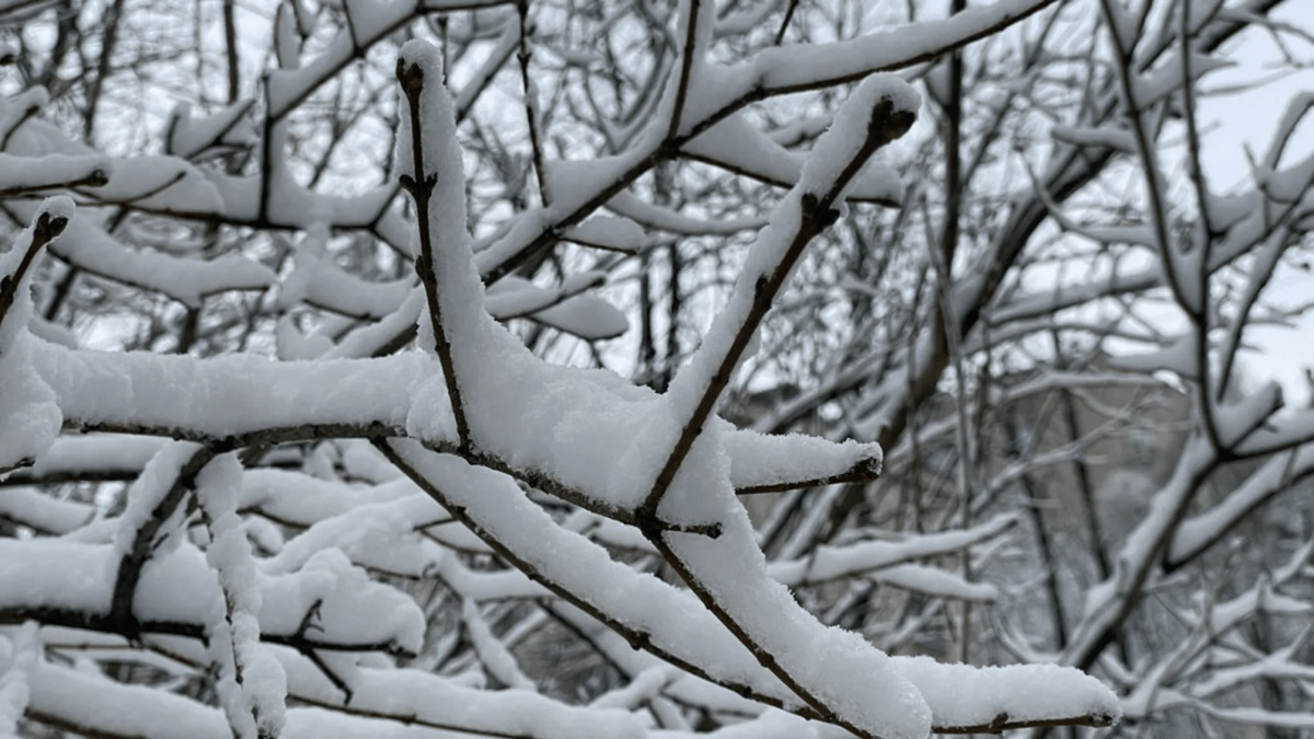 Погода в Дніпрі січень