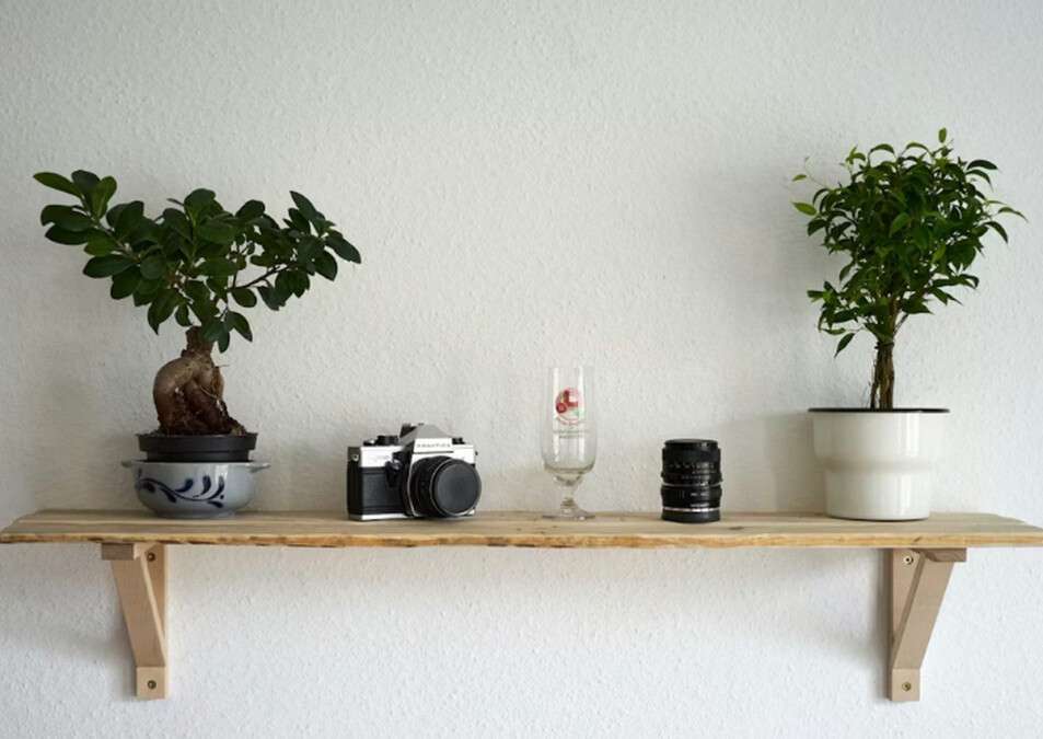 Стеллаж для цветов: как правильно разместить, чтобы выглядело красиво и функционально