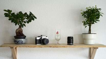 Стеллаж для цветов: как правильно разместить, чтобы выглядело красиво и функционально