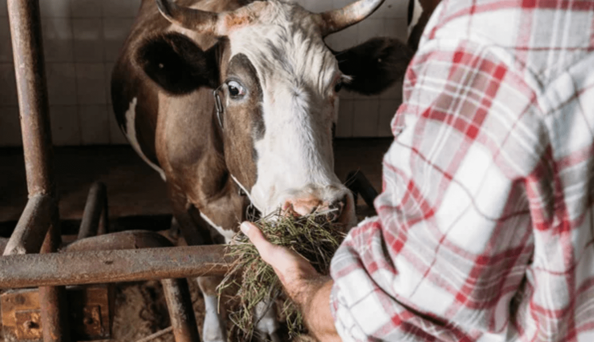 Допомога мешканцям Дніпропетровщини