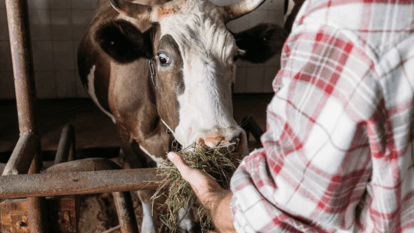 Допомога мешканцям Дніпропетровщини