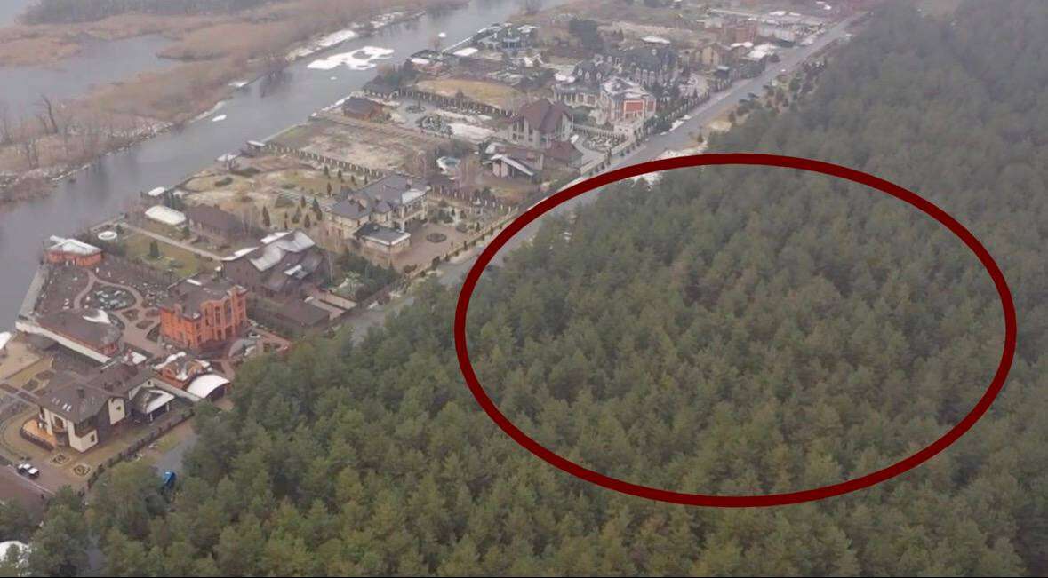 Как Краснов получил гектары леса в элитном пригороде Днепра