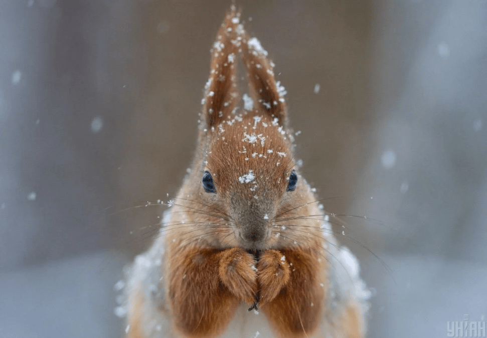 Погода в Днепре январь