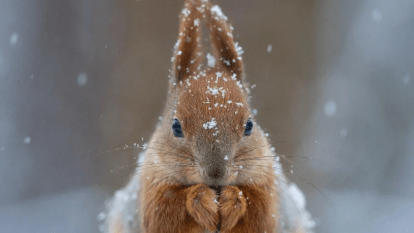 Погода в Дніпрі січень