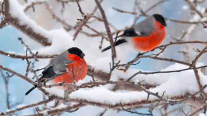 Погода в Дніпрі січень