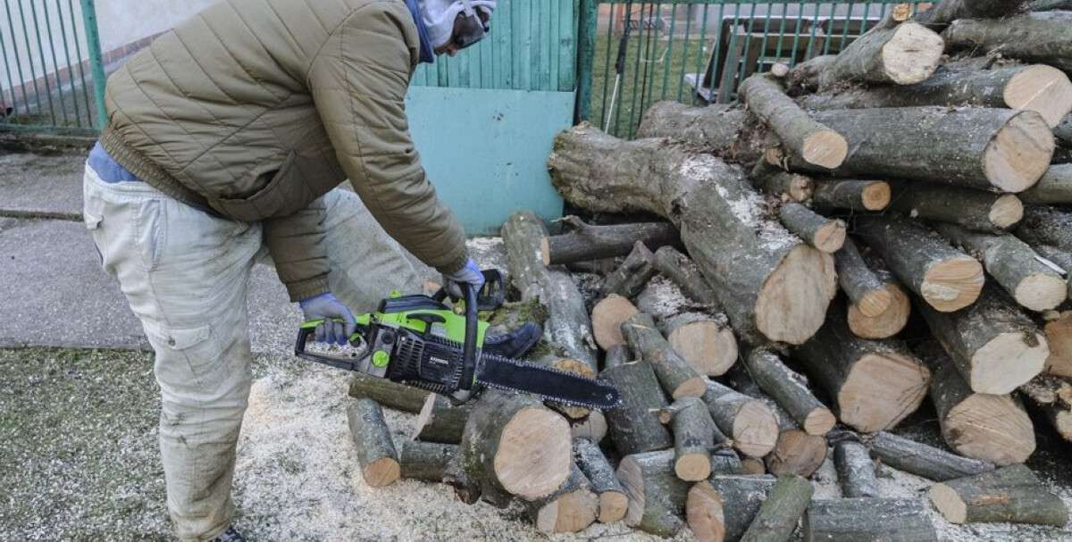 Незаконне вирубування лісу на дрова