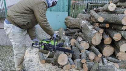 Незаконне вирубування лісу на дрова