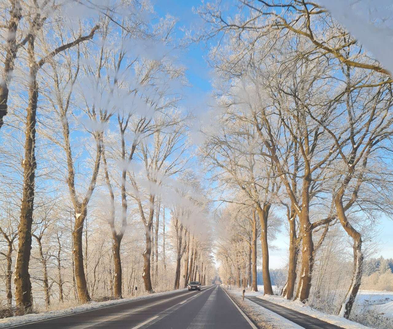 Сильные морозы надвигаются на Днепр: зима 2026 года стала испытанием даже для Европы