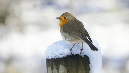 Погода в Дніпрі лютий