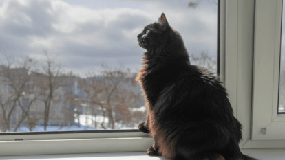 Погода в Днепре февраль