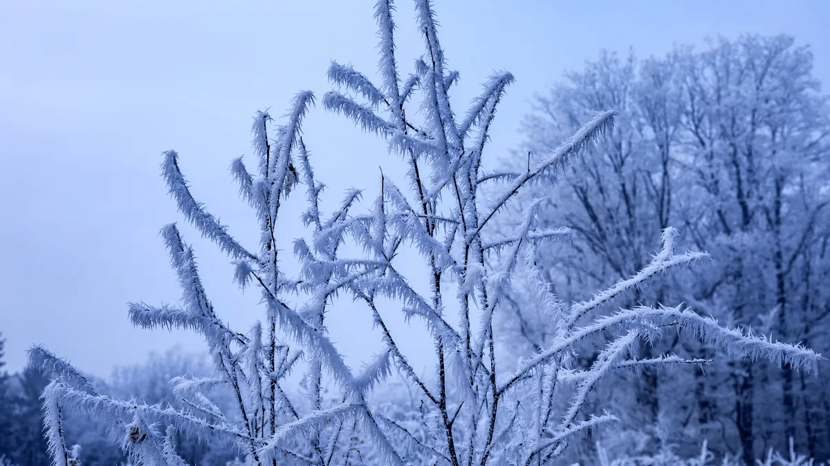 Погода в Днепре февраль