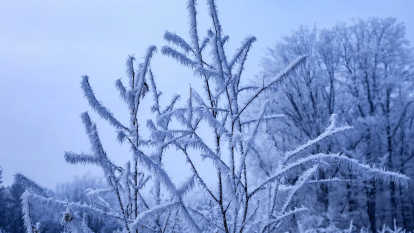 Погода в Дніпрі лютий
