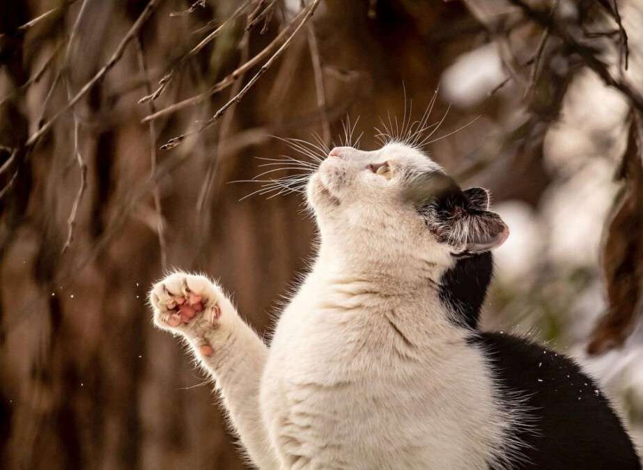 Погода в Днепре февраль