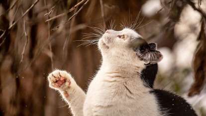 Погода в Дніпрі лютий