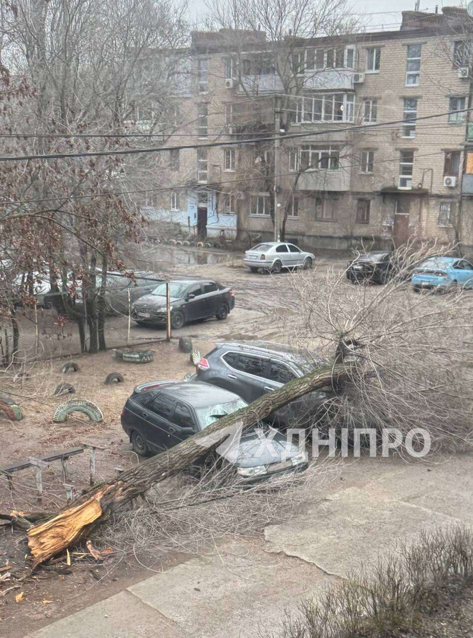 Негода вирує: вітер повалив дерева, паркани та світлофори