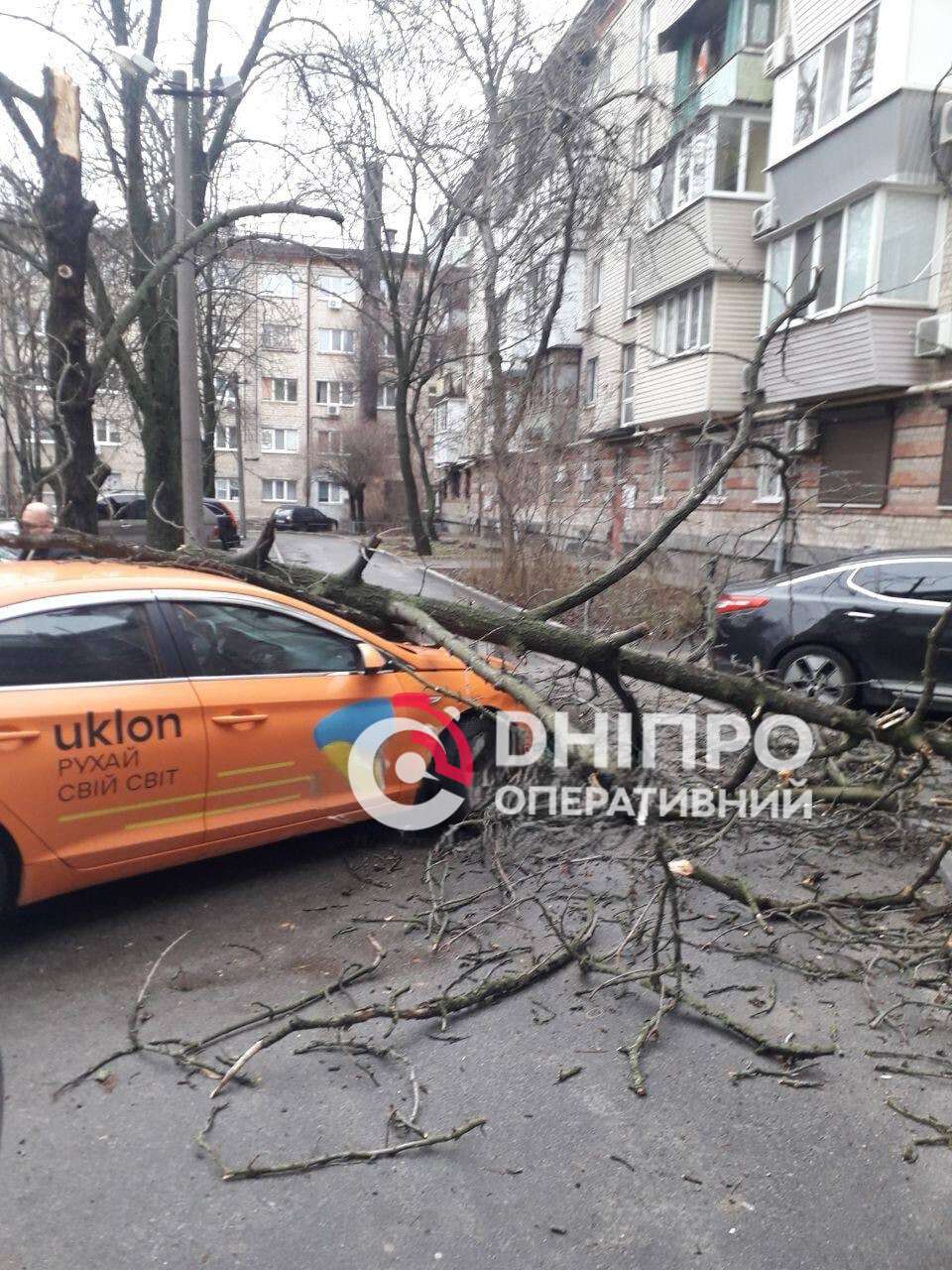 Ненастье бурлит: ветер повалил деревья, заборы и светофоры