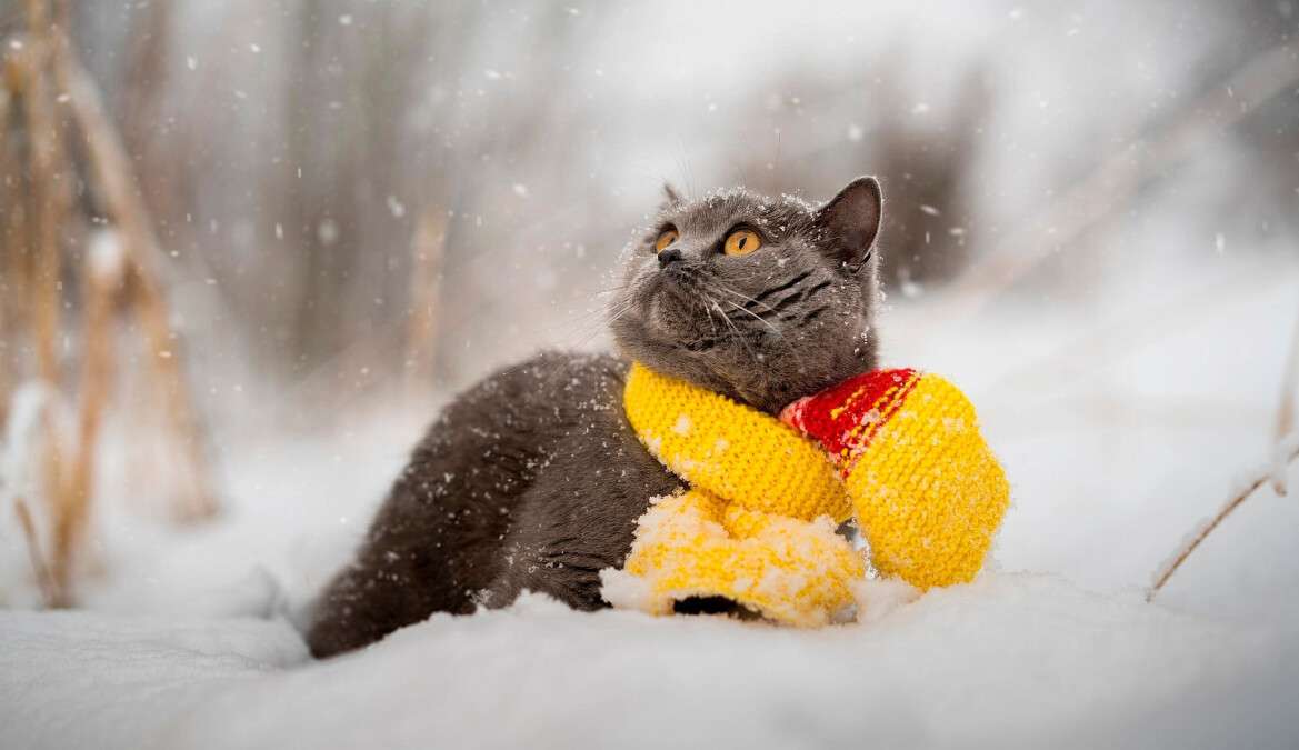 Погода в Дніпрі лютий