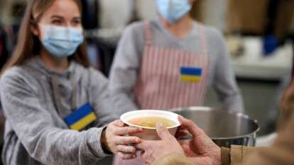 Легальное волонтерство 2026