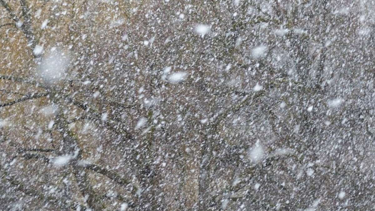 Погода в Днепре февраль