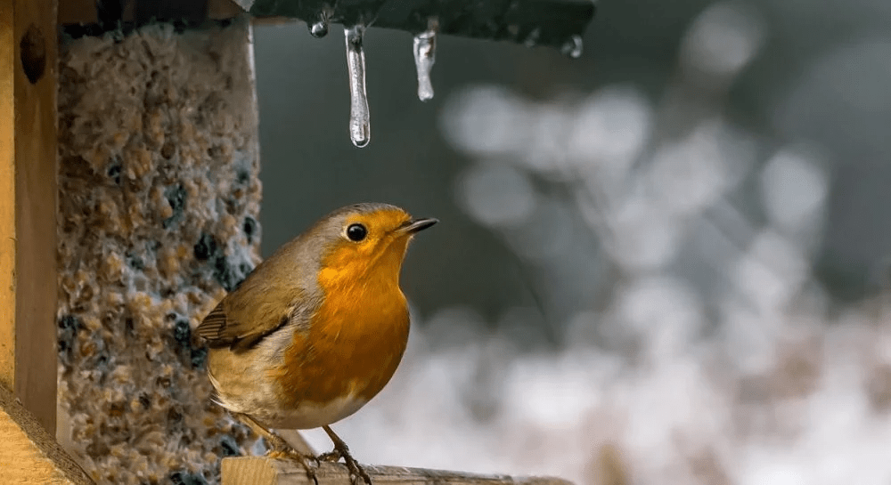 Погода в Днепре февраль