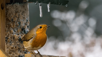 Погода в Днепре февраль