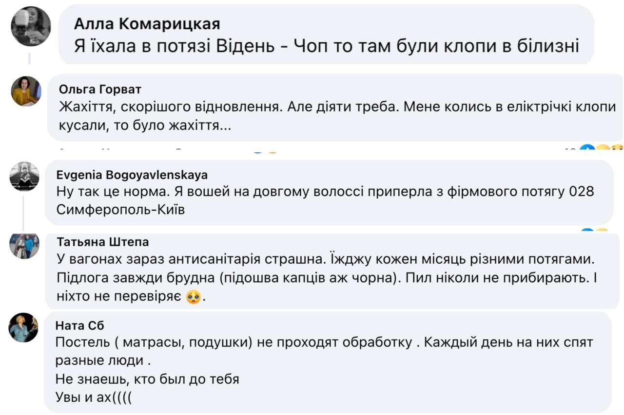 Воші в поїзді: пасажирку з Дніпра покусали у вагоні люкс