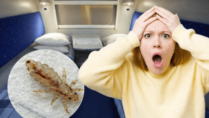 Воші в поїзді: пасажирку з Дніпра покусали у вагоні люкс