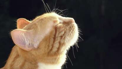 Погода в Днепре март