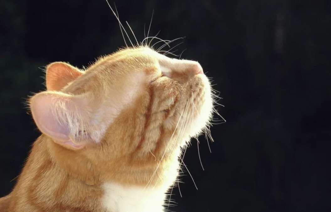 Погода в Дніпрі березень