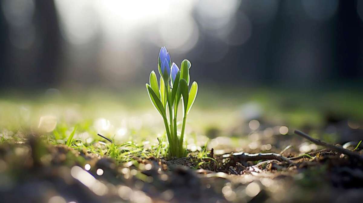 Погода в Днепре весна