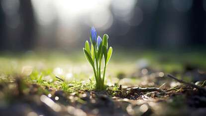 Погода в Днепре весна