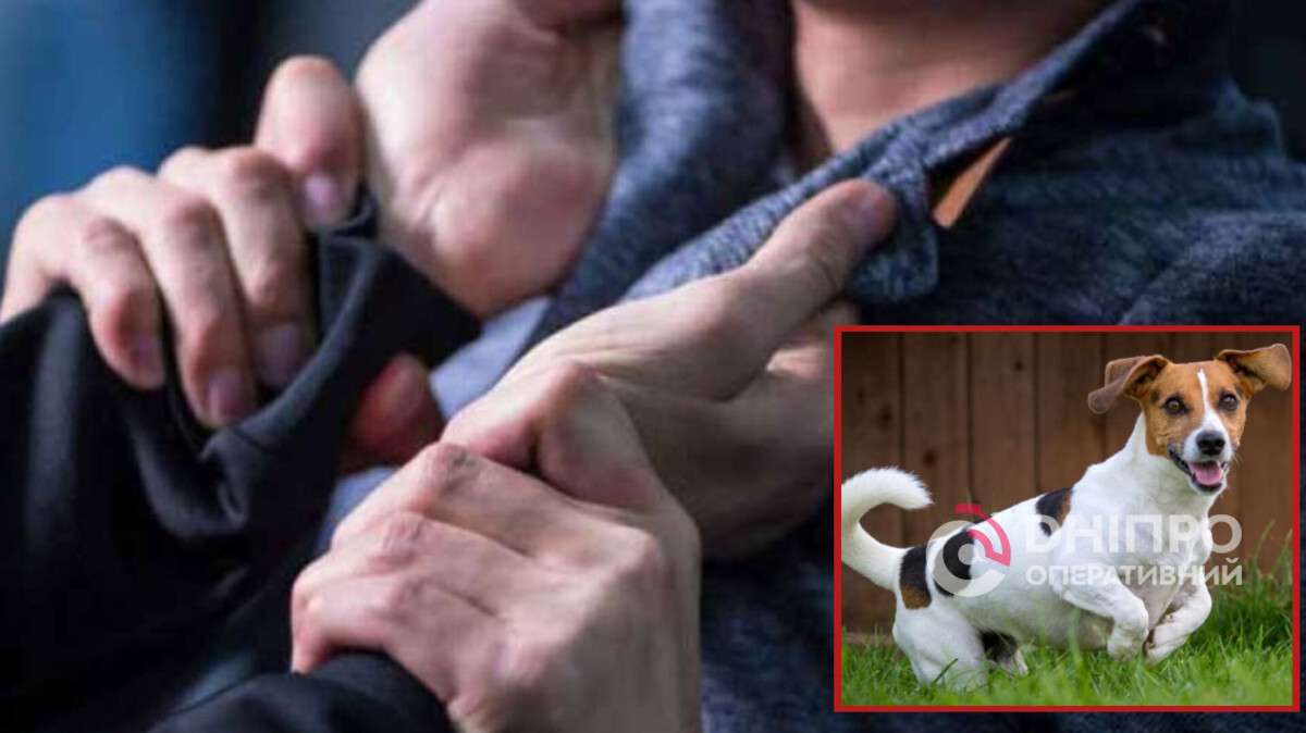 Суд у Дніпрі: охоронець побив чоловіка через собаку на клумбі