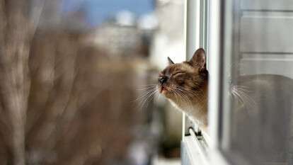 Погода в Днепре март