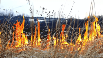 Підпал сухої трави може дорого обійтися: дніпрянам нагадали про відповідальність