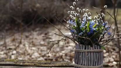 Погода в Днепре март