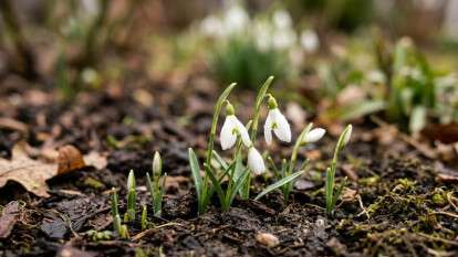 Погода в Дніпрі березень