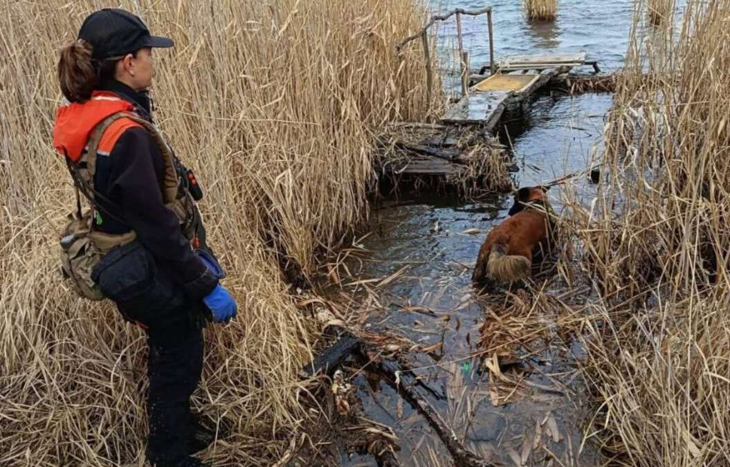 На Дніпропетровщині зниклу дівчину виявили мертвою: що відомо