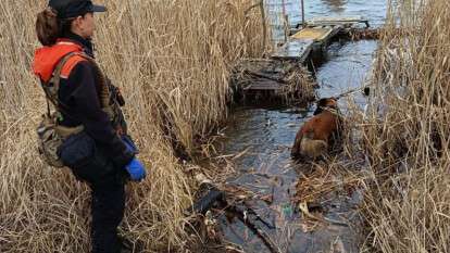 imgonline-com-ua-Resize-sNRPM1FoC3qimG