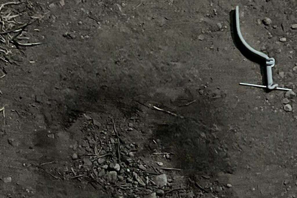 IMAGE 2026-04-05 13:18:59