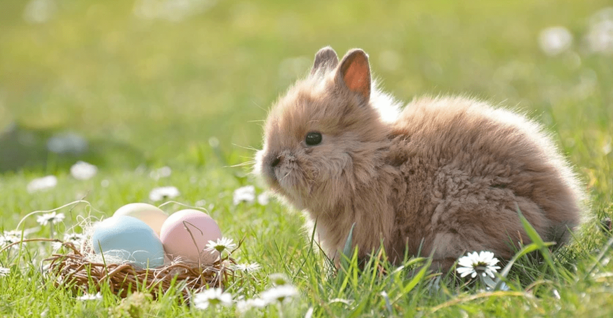 Прогноз погоды в Днепре на сегодня, 12 апреля 2026