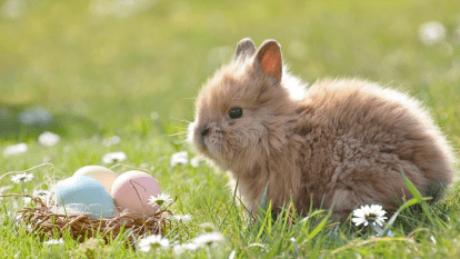 Прогноз погоди у Дніпрі на сьогодні, 12 квітня 2026