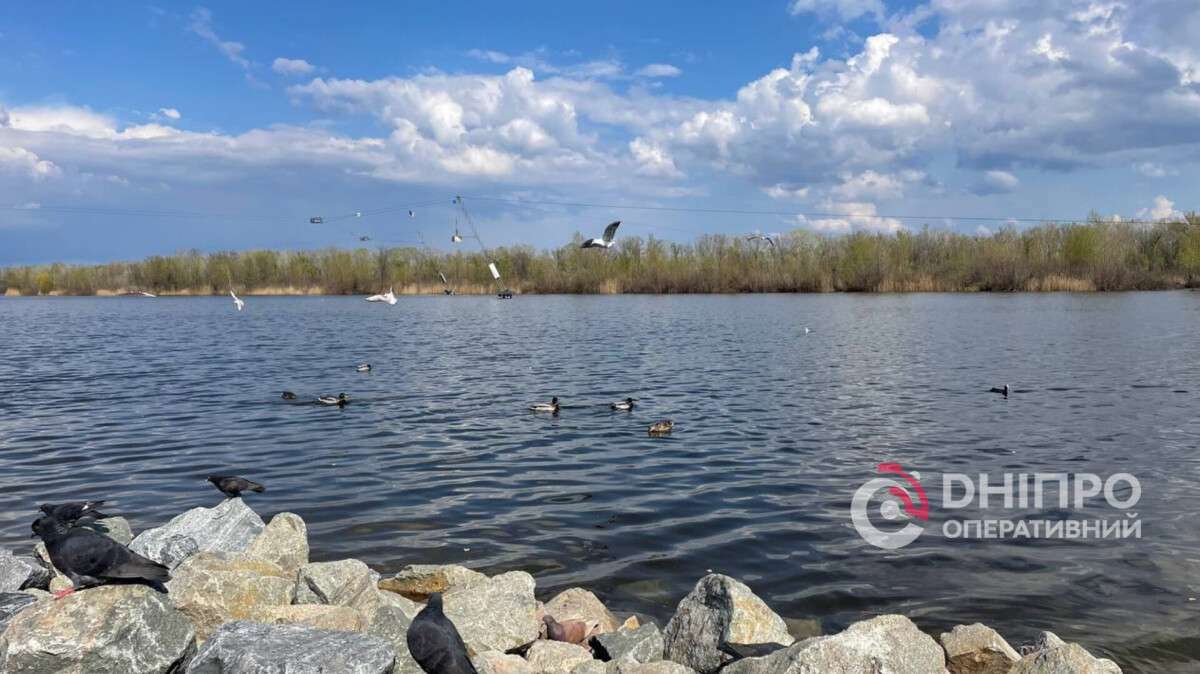 Погода в Днепре весна