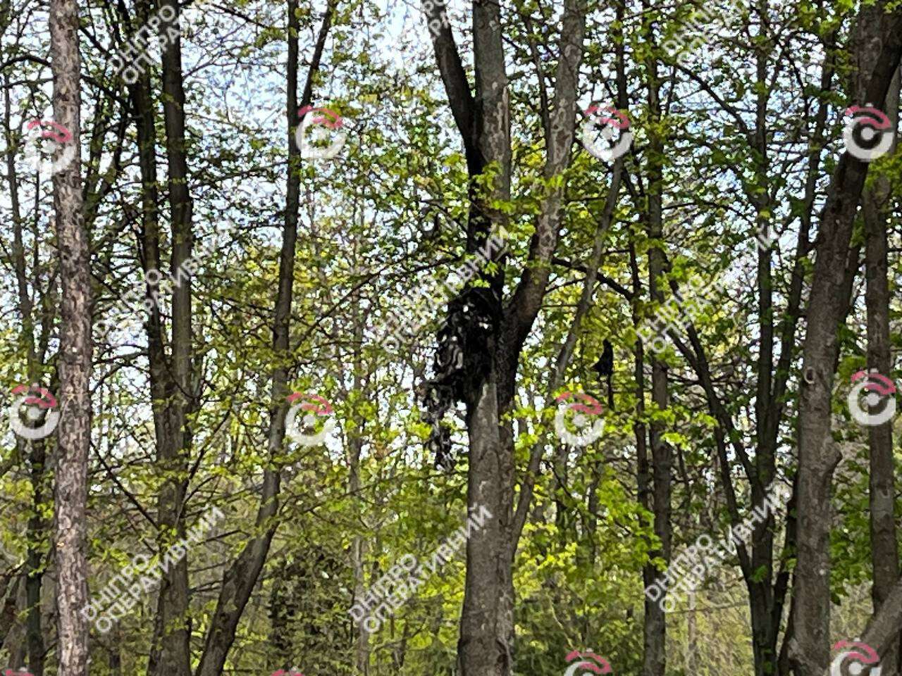 Уламок БпЛА впав посеред парку під час атаки 17 квітня 2026