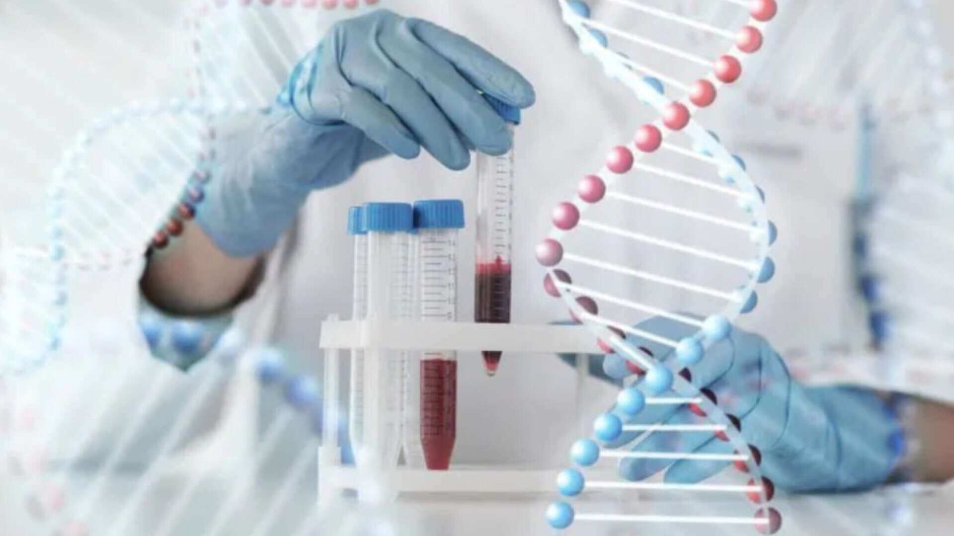 Генетичні тести для планування сім'ї під час війни: доступність послуги в лабораторіях
Планування вагітності у 2026 році потребує не лише психологічної готовності, а й уважного ставлення до здоров’я майбутньої дитини. Попри війну,…