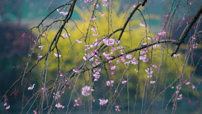 Прогноз погоды в Днепре на сегодня, 19 апреля 2026