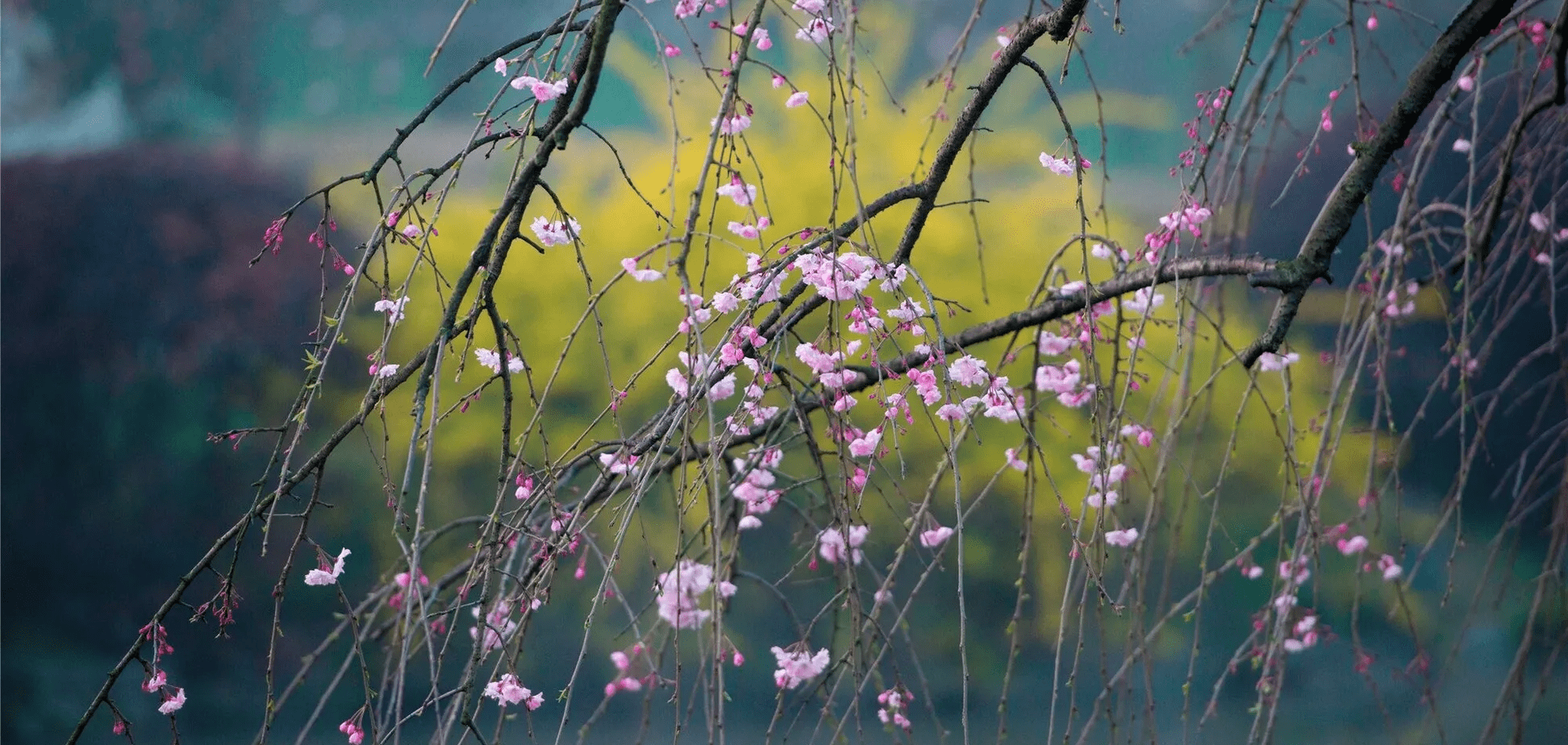 Прогноз погоди у Дніпрі на сьогодні, 19 квітня 2026
У неділю, 19 квітня, у Дніпрі хмарна погода буде триматися до самого вечора. Уночі можливий дрібний дощ. Вранці він стихне,…