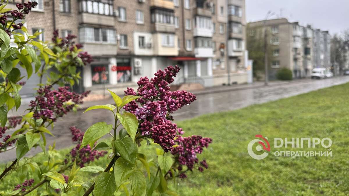 Погода у Дніпрі дощ
